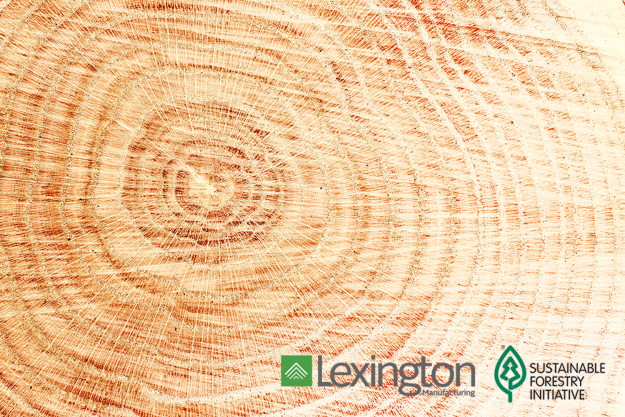 Lexington_SFI_BlogImage_2